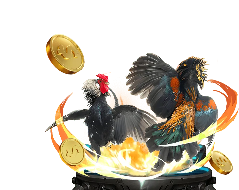 Sân đấu gà truyền thống sôi động tại God55